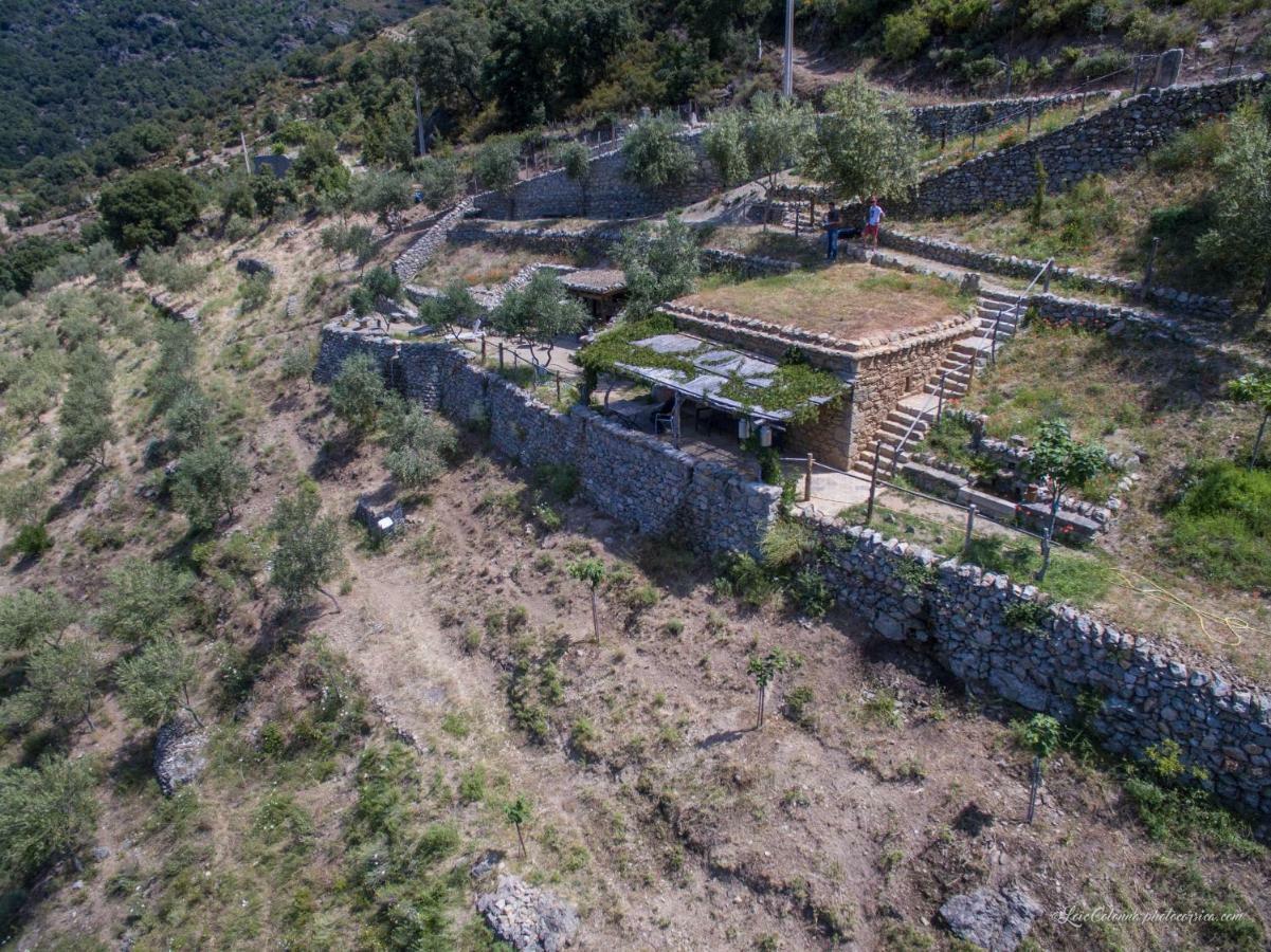 Les Bergeries "Le Figuier" Hotel Omessa Exterior foto