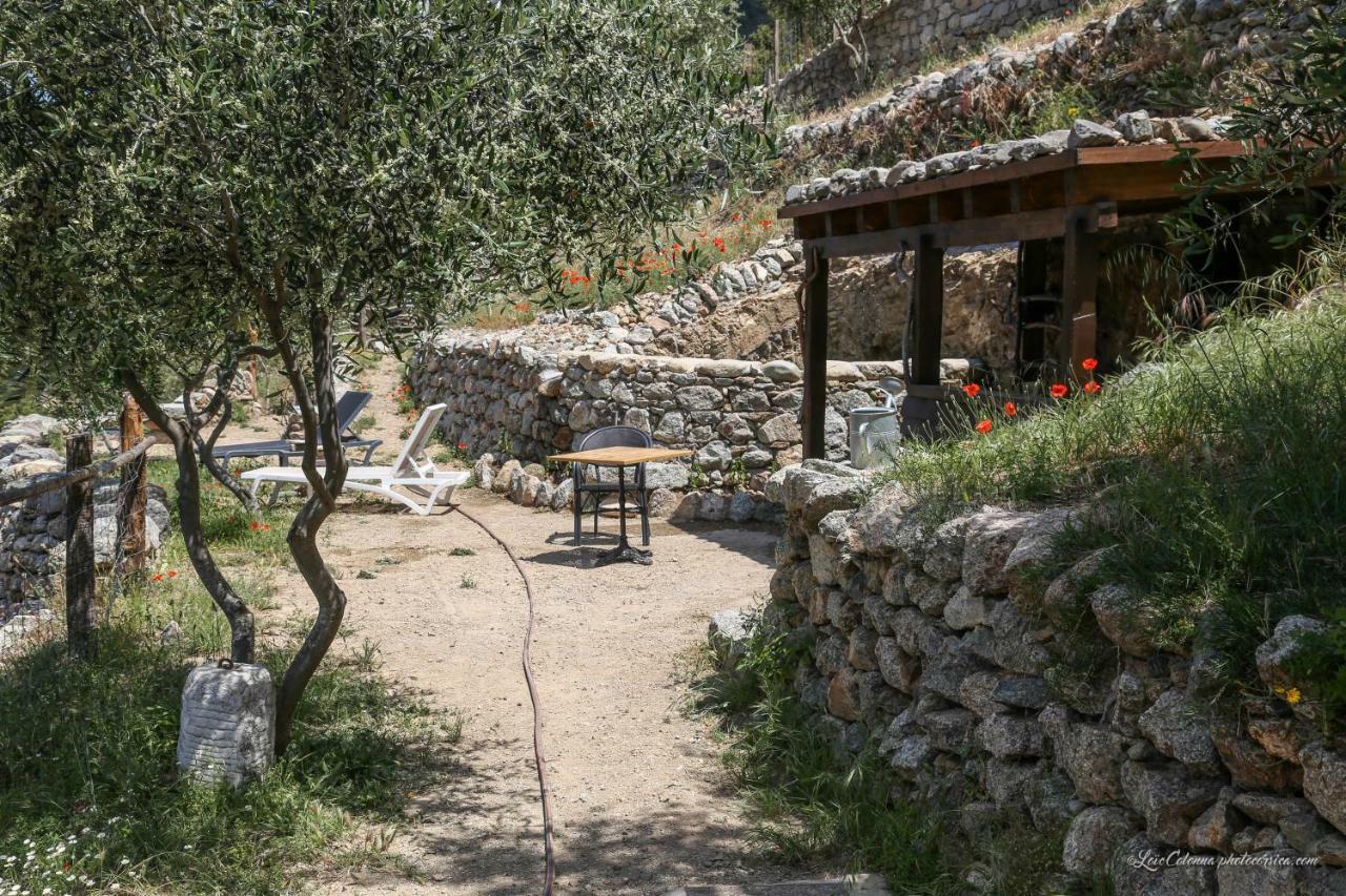 Les Bergeries "Le Figuier" Hotel Omessa Exterior foto